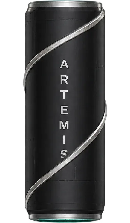 Etapa 2 del cohete Artemis: tanque de doble hélice, fase Géminis
